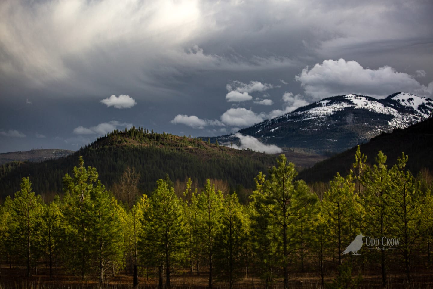 Open road landscape — Pacific Northwest road trip photography, Odd Crow Media