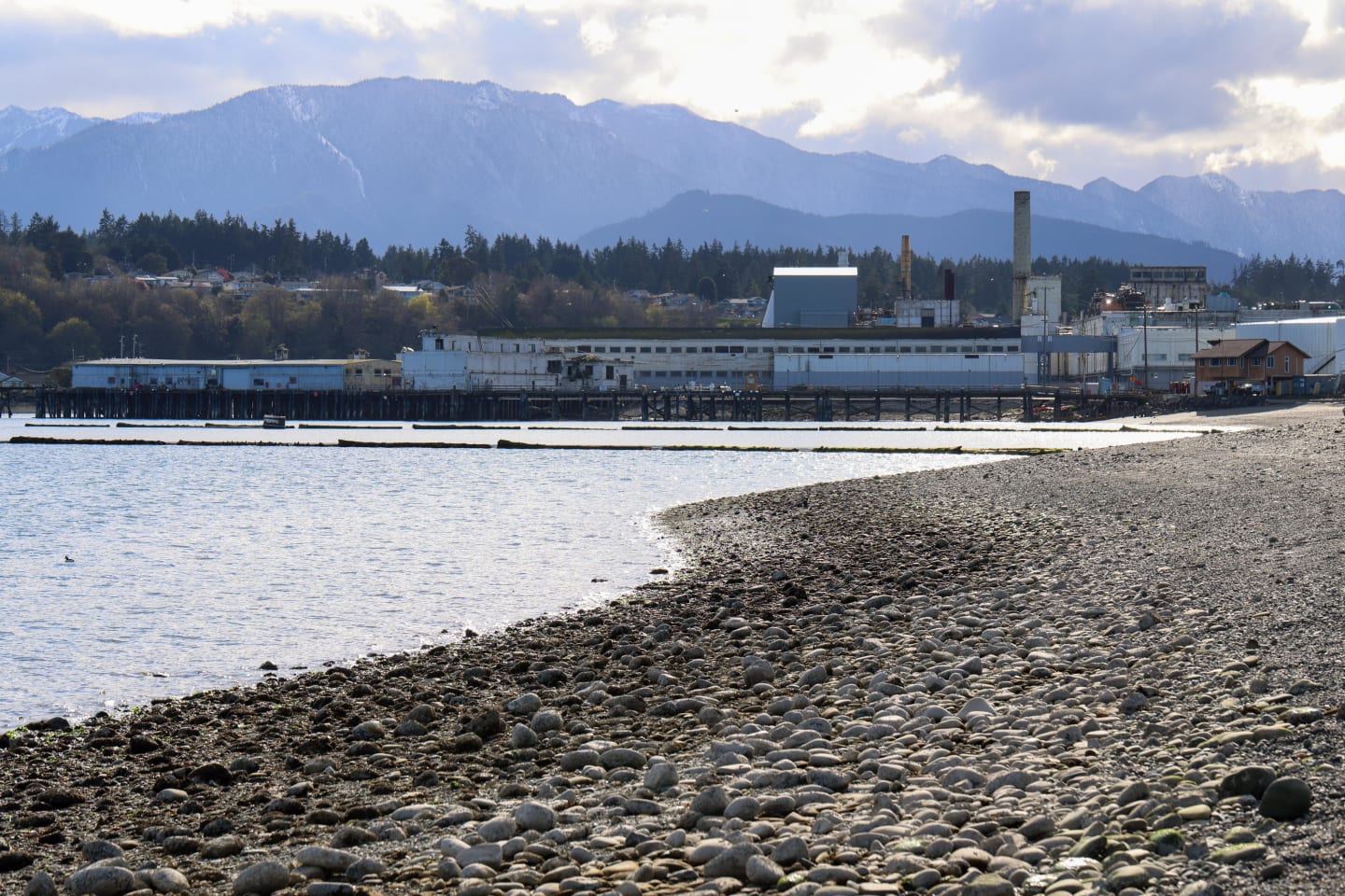 Rocky beach in foreground leading to Port Angeles waterfront with closed paper mill and Olympic Mountains beyond