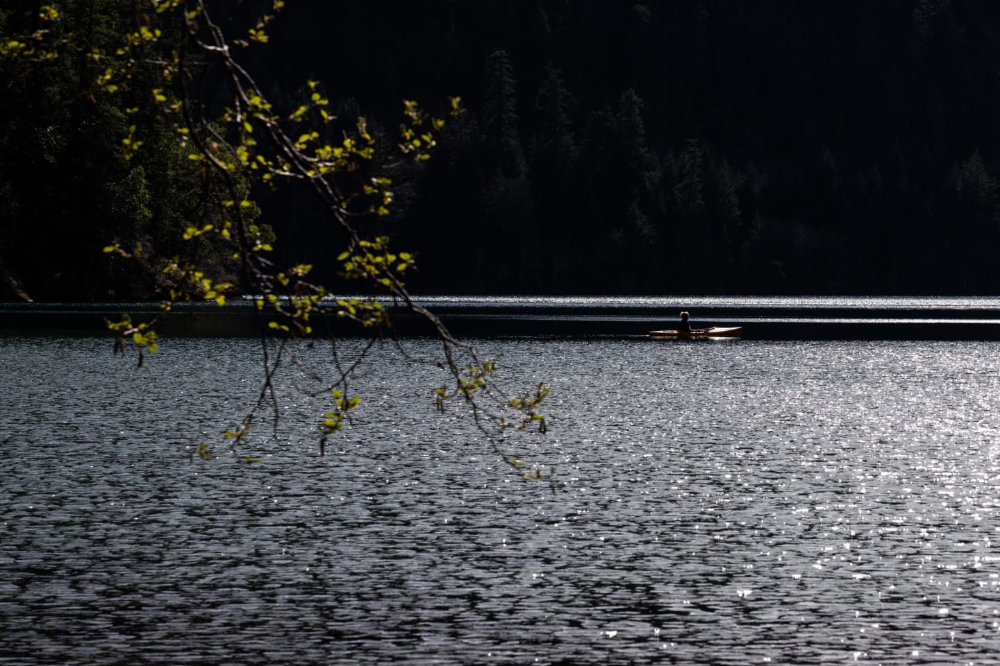 Spring branches with new green leaves frame a view of the lake and layered mountains