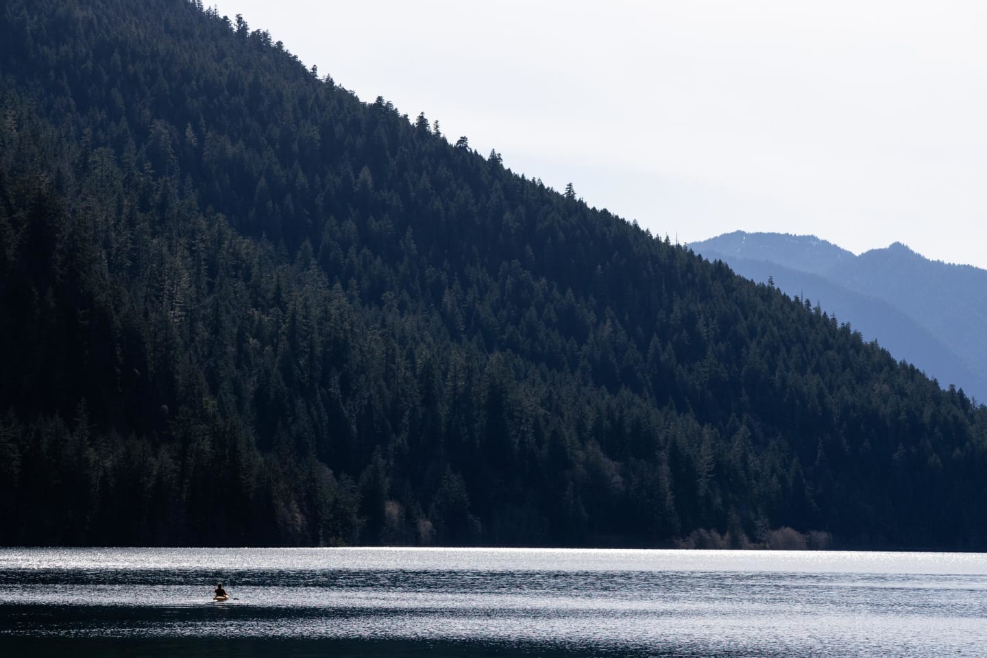 Duck swimming peacefully on the lake with mountains visible through the hazy atmosphere