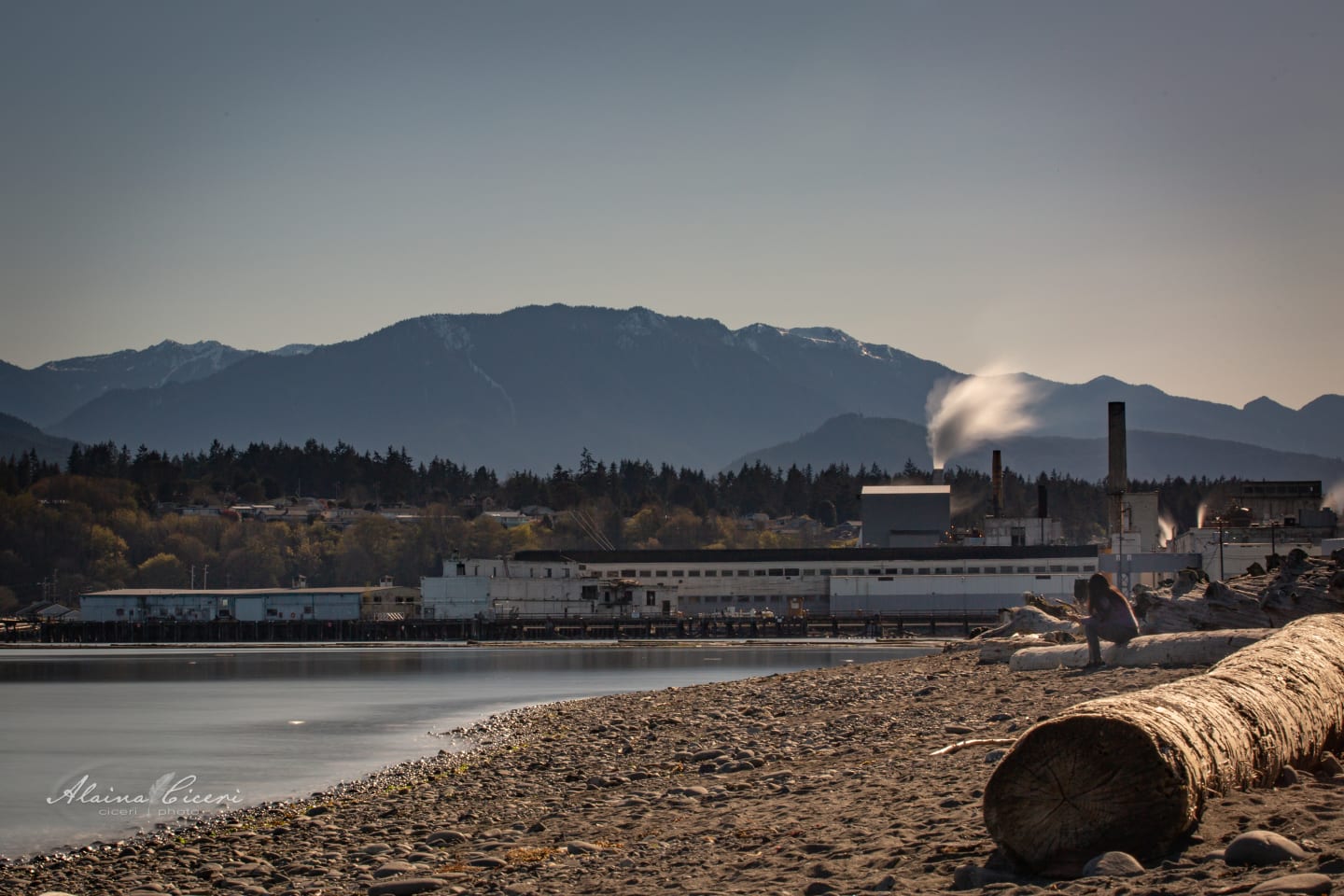 Mill complex viewed from beach with Olympic Mountains backdrop and driftwood logs in foreground