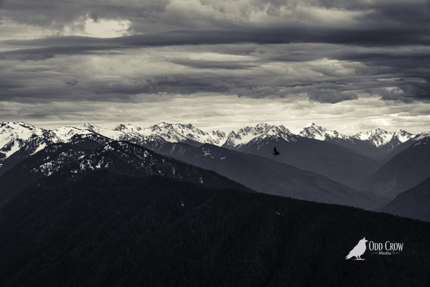 Ravens flying over multiple mountain ridges with dramatic storm clouds and snow-covered peaks in distance