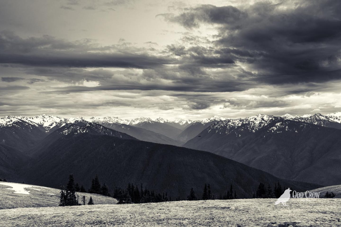 Wide panoramic view of snow-covered Olympic Mountain peaks under dramatic cloudy sky