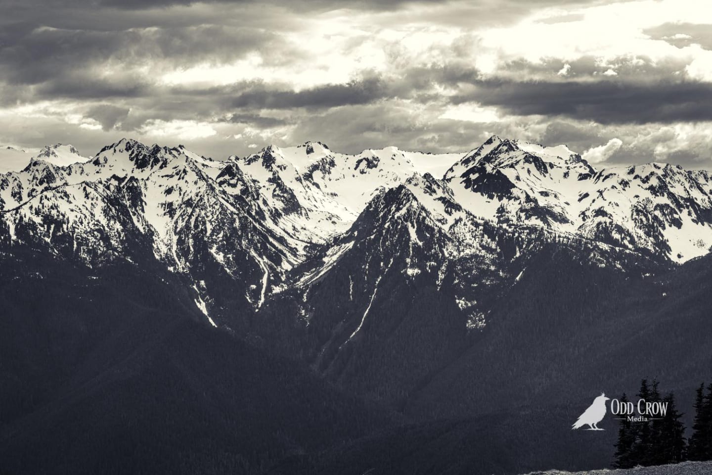 Close-up view of rugged snow-covered Olympic Mountain peaks and ridgelines