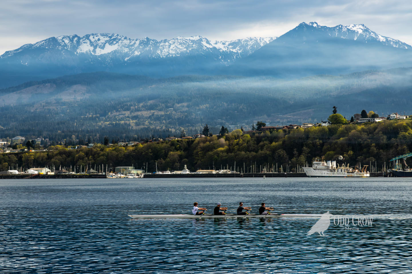 Four-person rowing crew gliding across harbor water with snow-capped Olympic Mountains behind Port Angeles