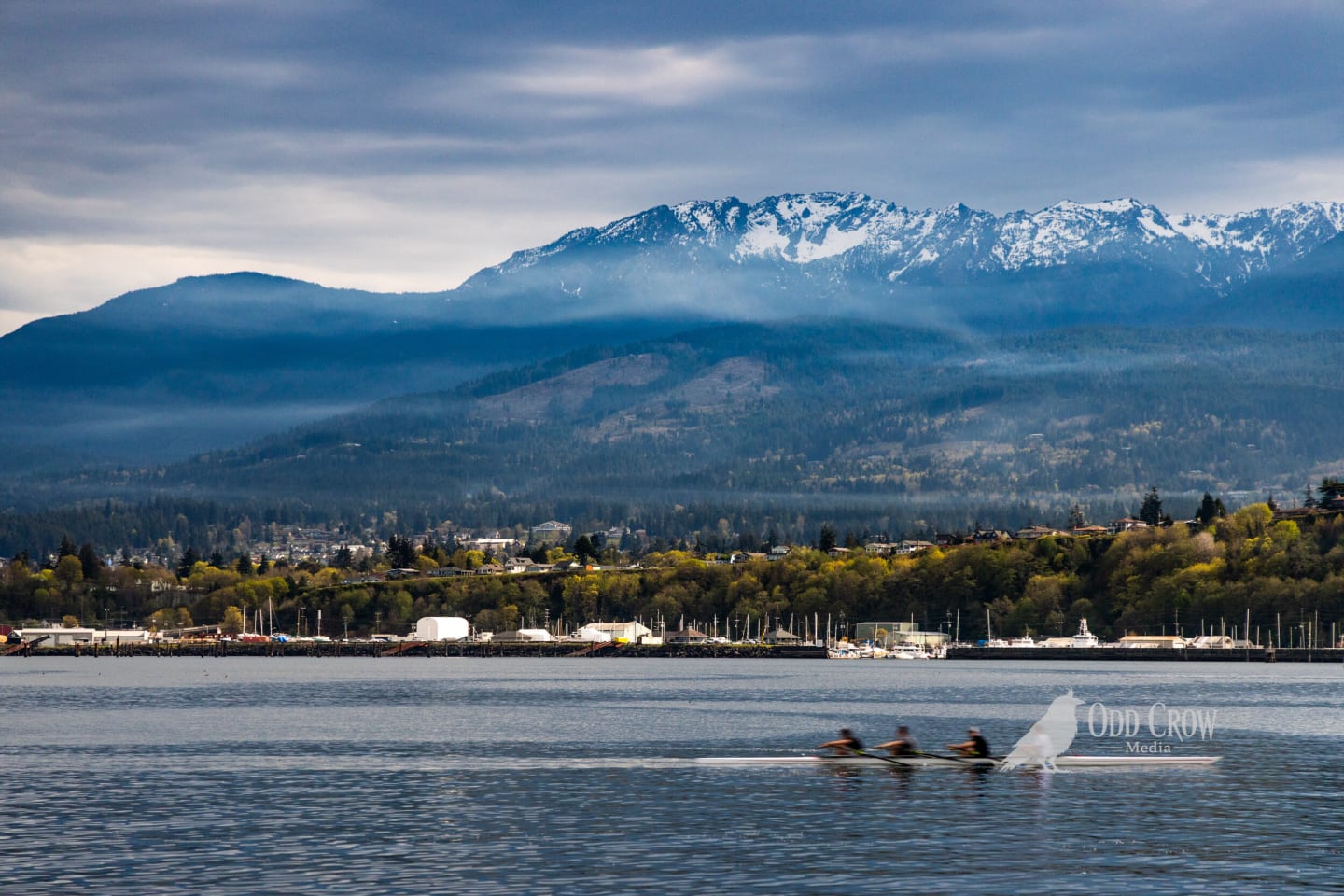 Four-person crew rowing through harbor with motion blur from longer exposure, mountains visible through atmospheric haze