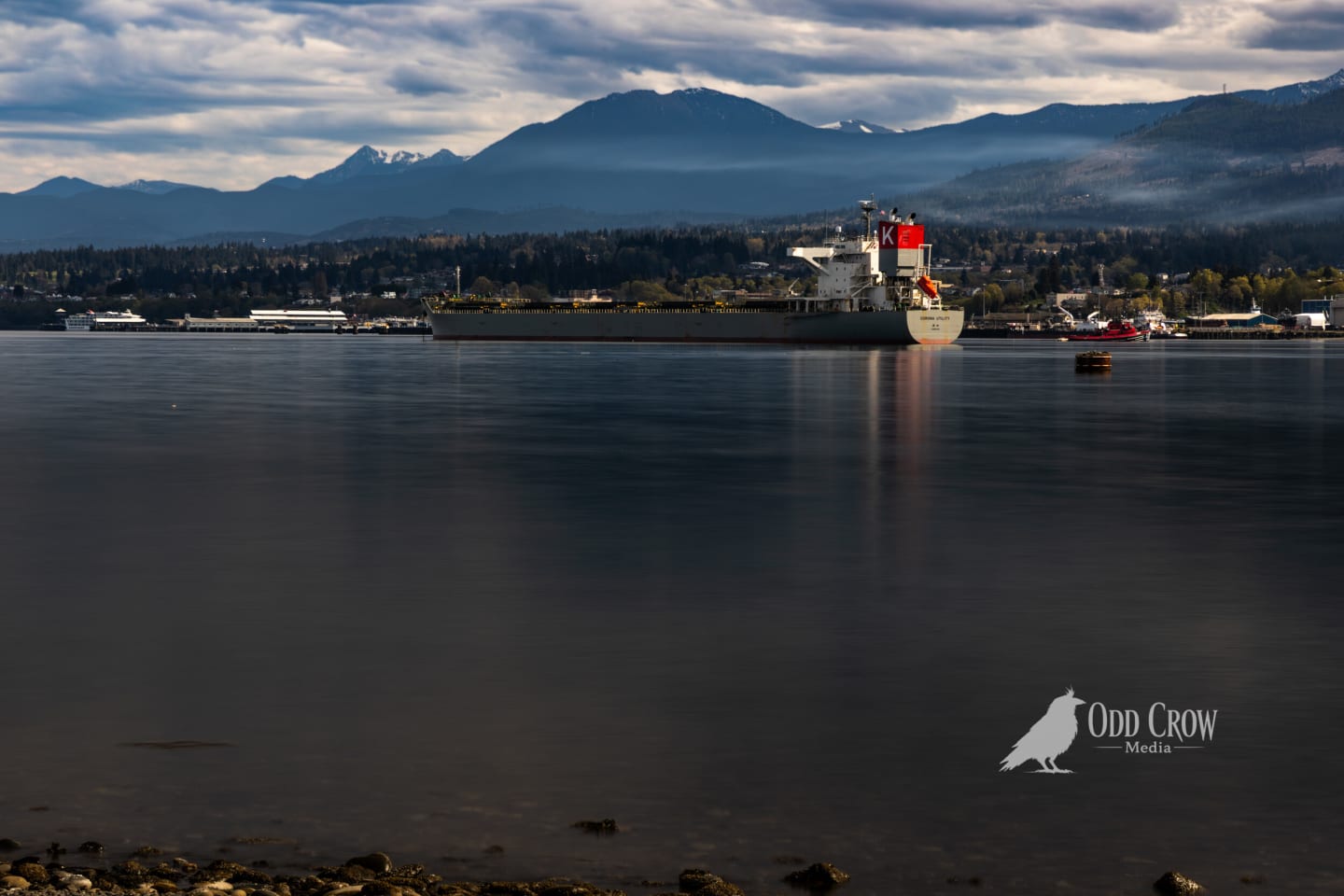 Large cargo ship docked at Port Angeles industrial waterfront with Olympic Mountains in background during overcast conditions