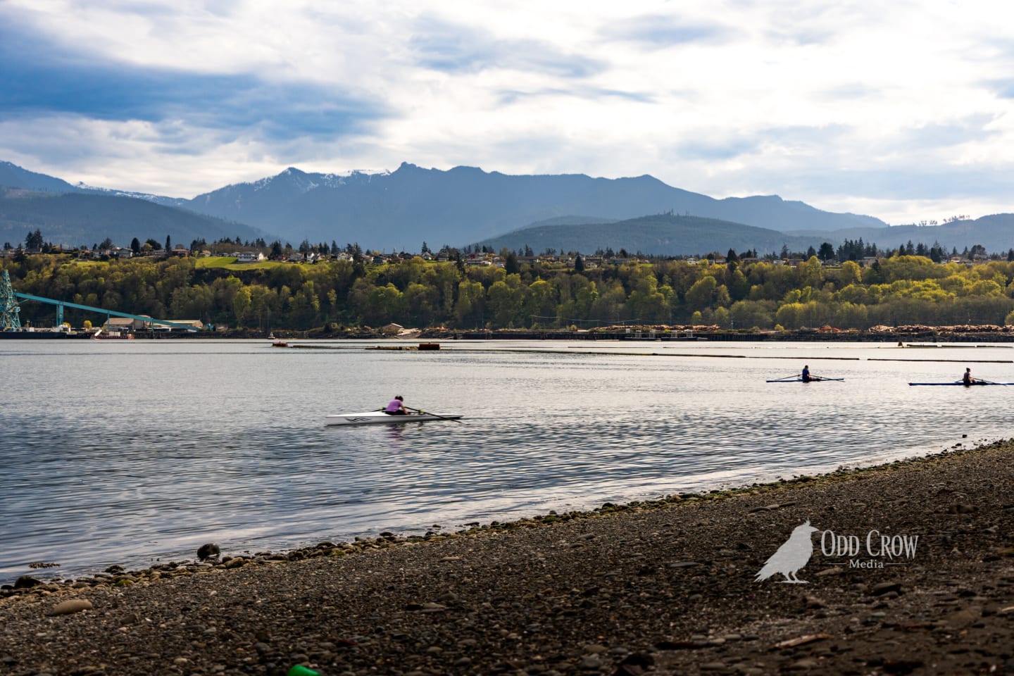 Single rower in pink jacket on smooth harbor water with Olympic Mountains and Port Angeles industrial buildings in background