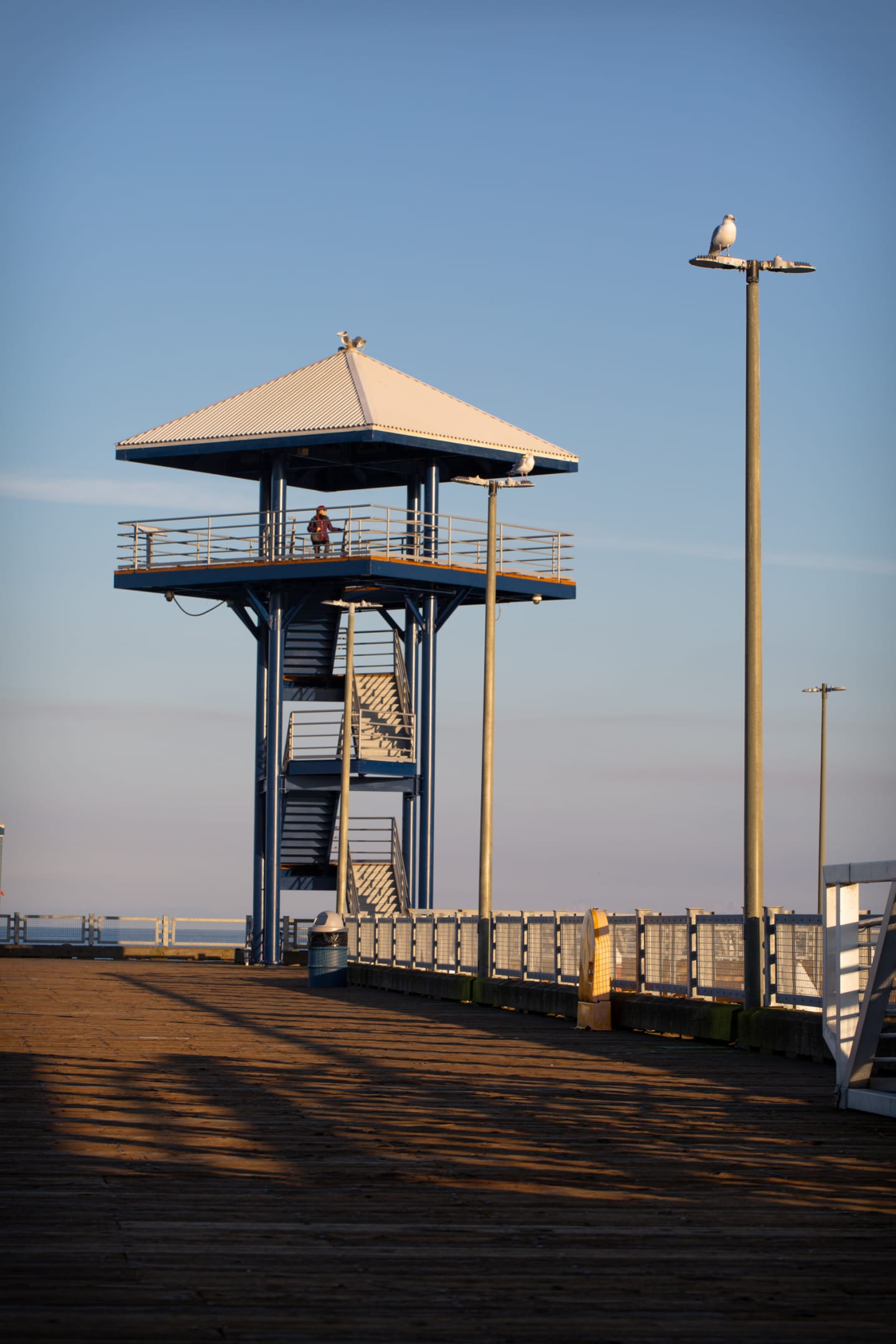 Wooden observation tower on Port Angeles waterfront with seagulls perched on posts against clear blue sky