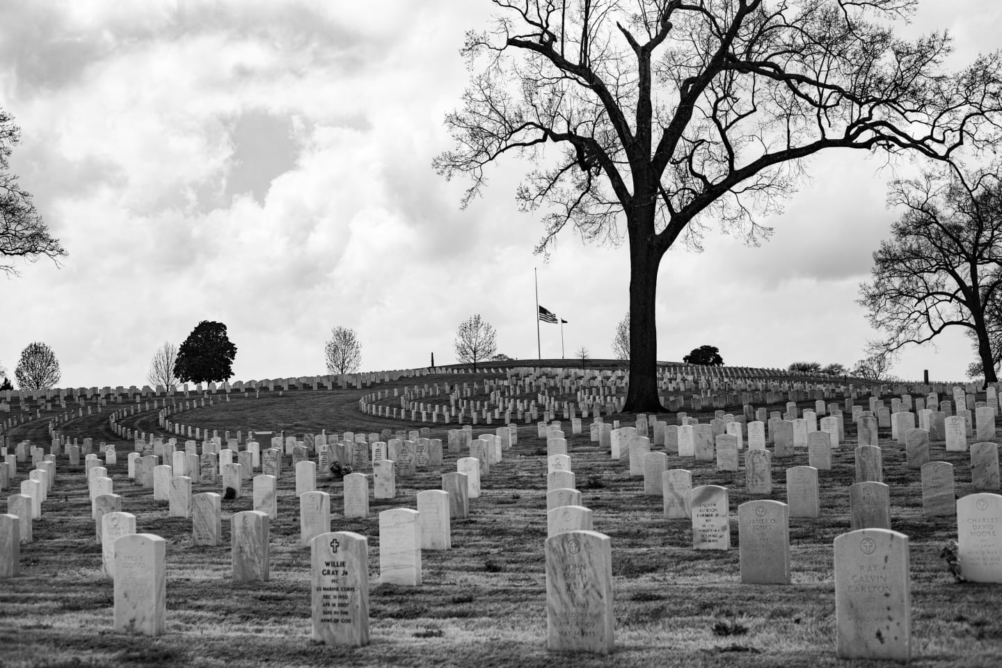 Rolling hills of Arlington Cemetery with headstones and a large bare tree, flag at half-staff in the distance