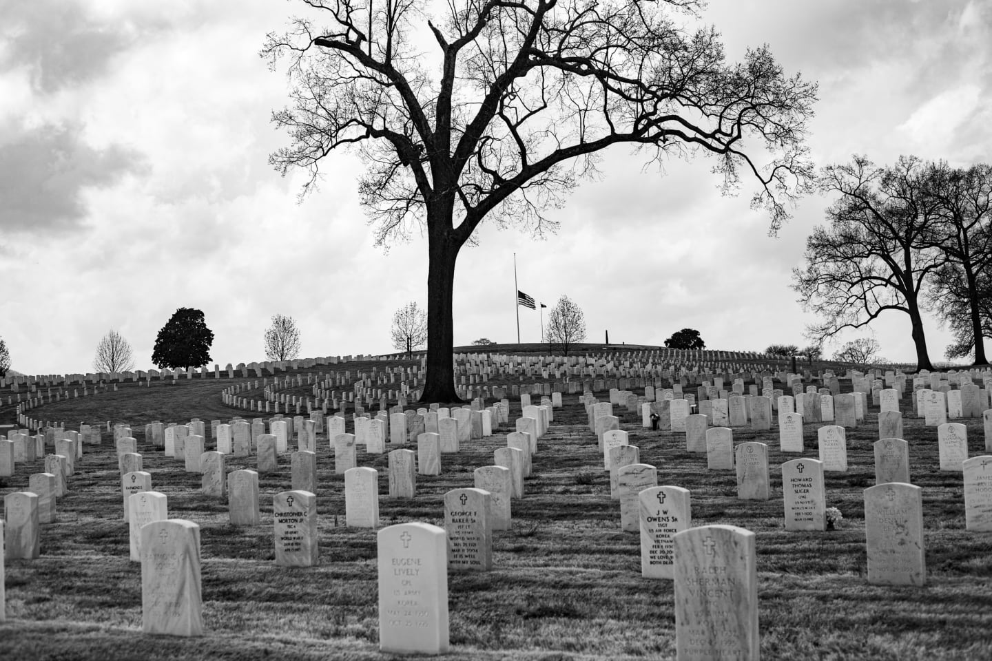 Expansive view of Arlington Cemetery headstones with a prominent bare tree and American flag at half-staff under stormy skies