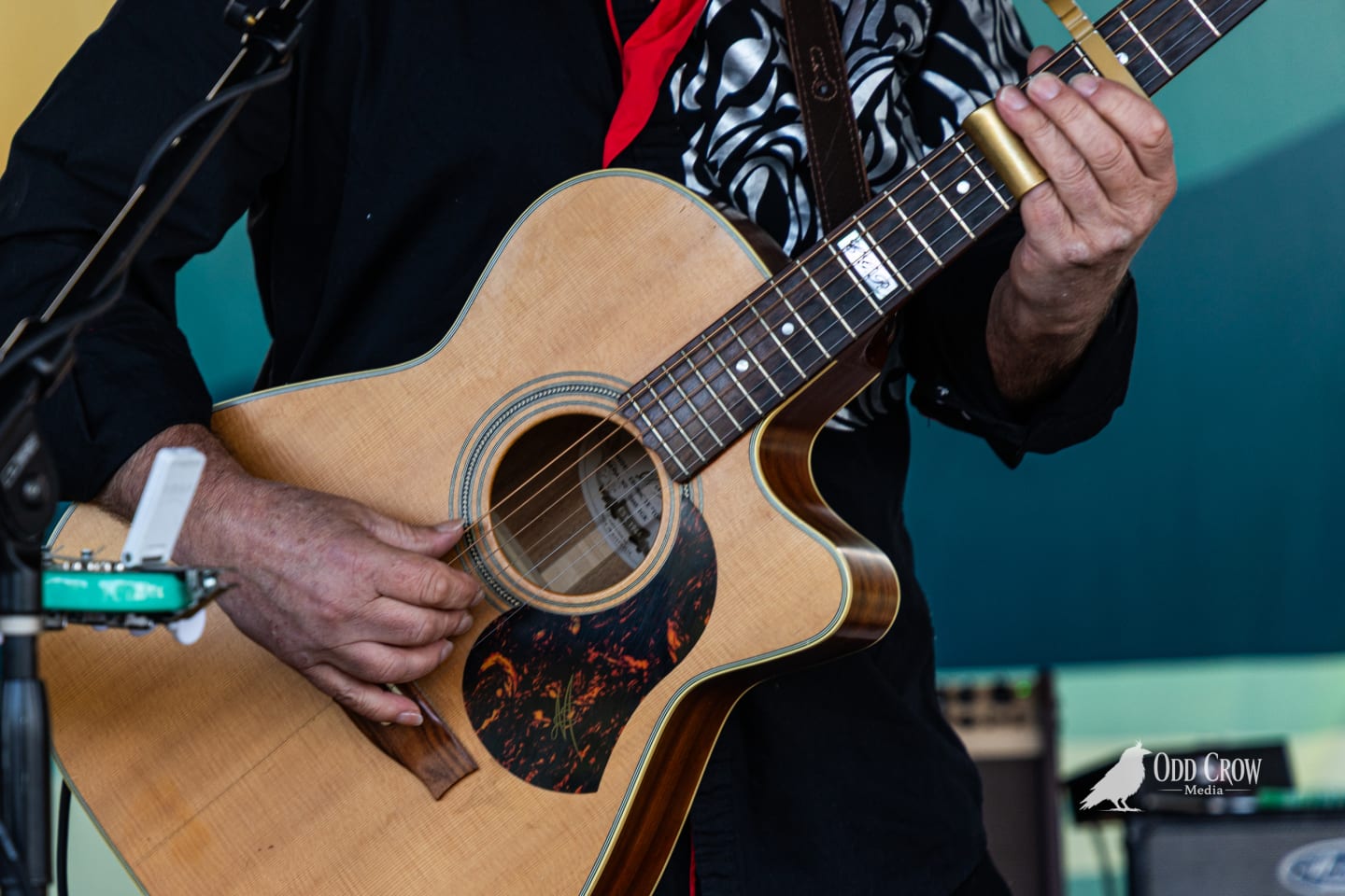 Foot Stompers full band on stage at Concerts on the Pier, guitarist on left with mint Telecaster, drummer center singing, bassist in floral shirt on right