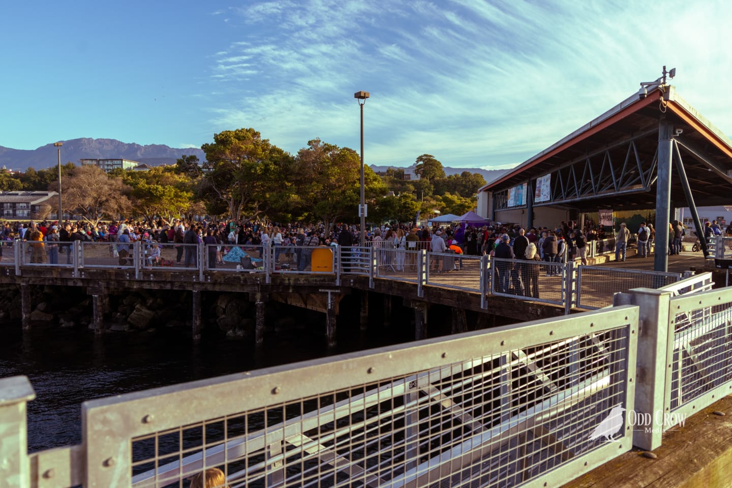 Wide shot of the packed crowd at Concerts on the Pier, chairs lined up back from the stage, sunny sky