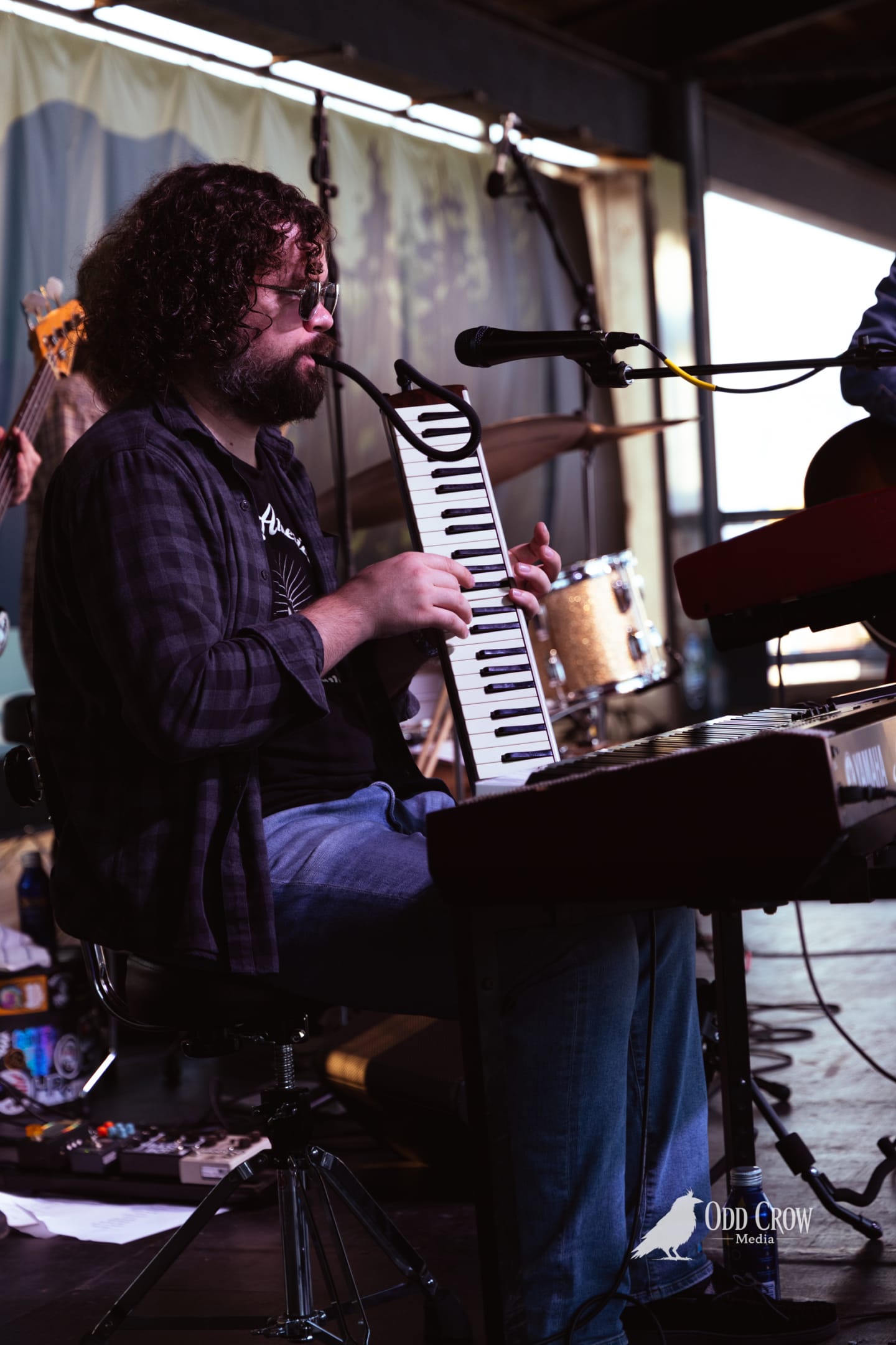 Bearded musician plays melodica onstage at an outdoor pier venue during a live performance.