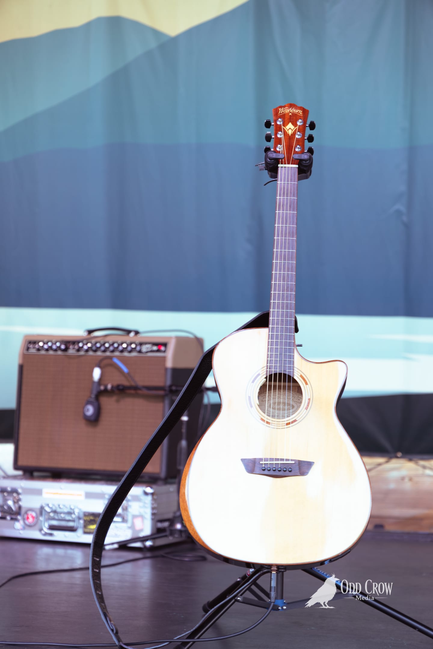 Washburn acoustic guitar on a stand before a mountain-backdrop stage with an amp behind it.