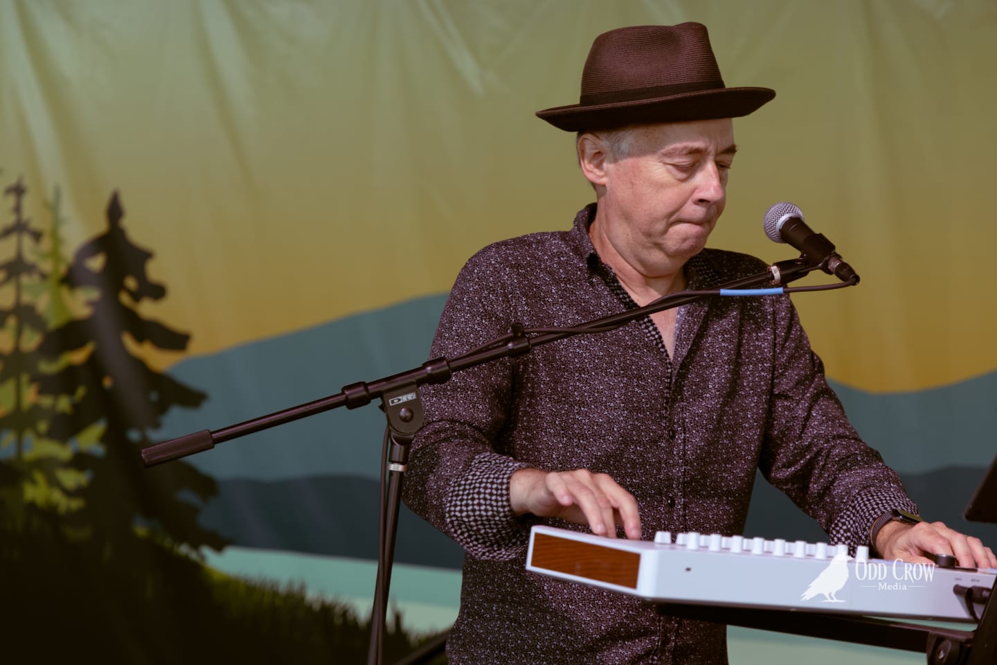 Keyboardist in a brown fedora plays synthesizer on an outdoor stage with a painted mountain backdrop.
