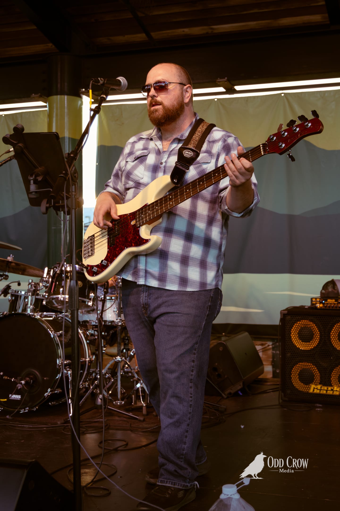 Bearded bassist in plaid shirt and sunglasses plays cream electric bass on outdoor stage.