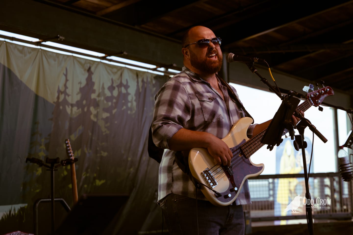 Bearded bassist in plaid shirt and sunglasses performs on covered outdoor stage at waterfront venue.