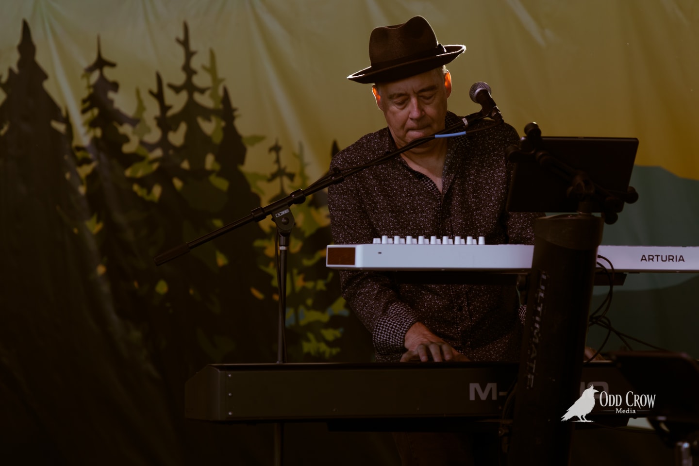 Keyboardist in a dark fedora performs on an Arturia keyboard beneath a forest-themed stage backdrop.