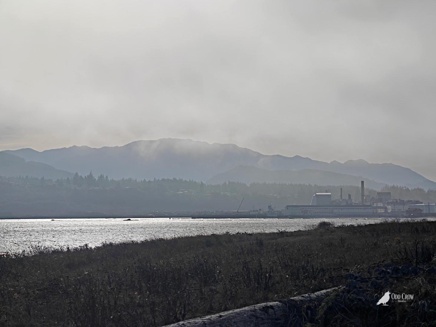 Hazy view across Port Angeles Harbor from Ediz Hook with the paper mill and layered mountains barely visible through fog and silver light on the water