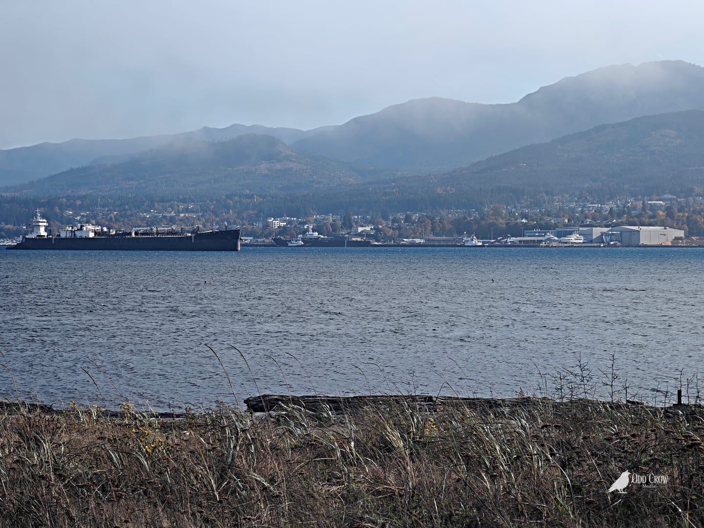 Large black cargo ship anchored in Port Angeles Harbor with the Port Angeles waterfront, industrial buildings, and low cloud-covered mountains behind it, seen from Ediz Hook