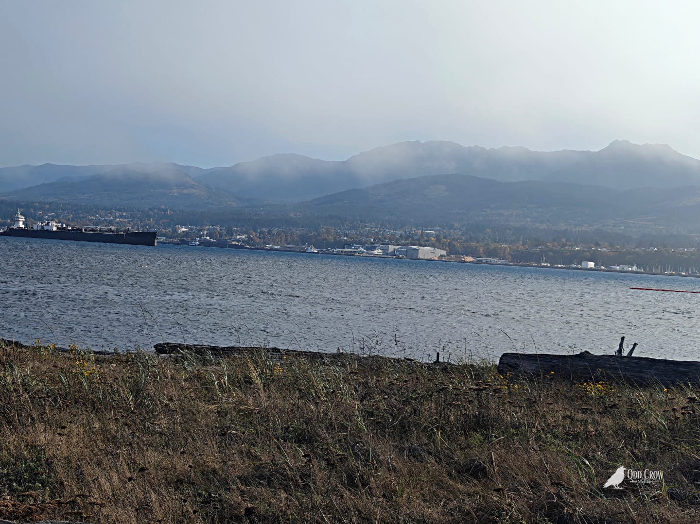 View from Ediz Hook across choppy Port Angeles Harbor with a large black ship and the Port Angeles port facilities visible, mountains shrouded in low clouds with patches of fog lifting