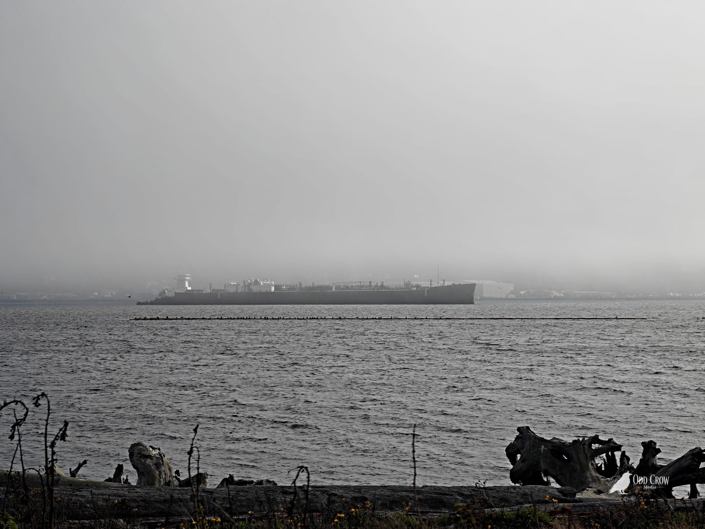 Large cargo ship nearly invisible in dense harbor fog at Port Angeles, with driftwood silhouettes in the foreground and flat gray water between, shot from Ediz Hook