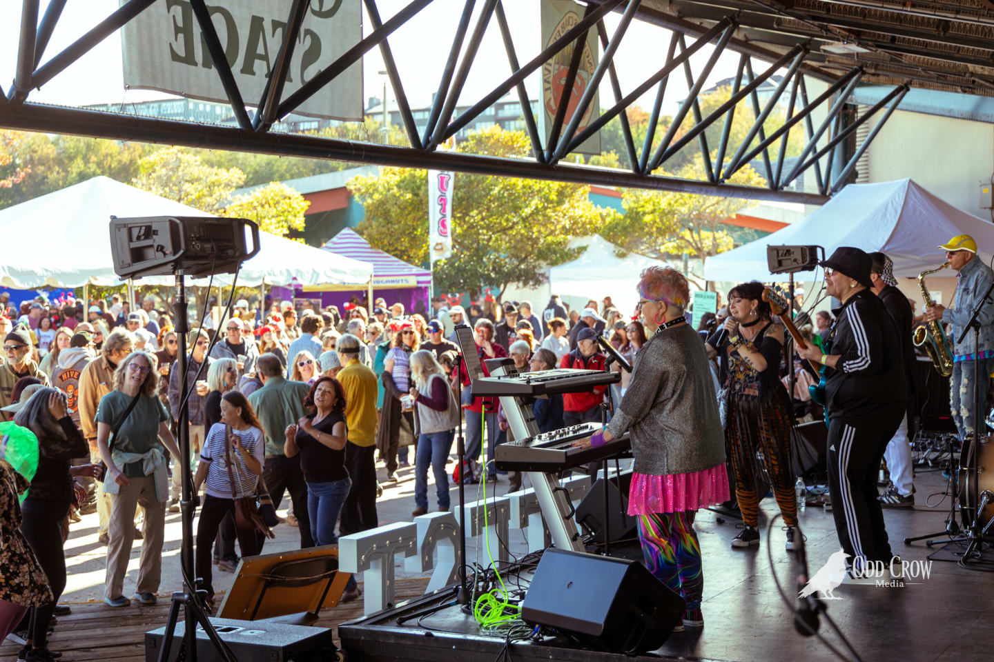 View from the stage looking out over a packed, dancing crowd at the Crabfest outdoor stage