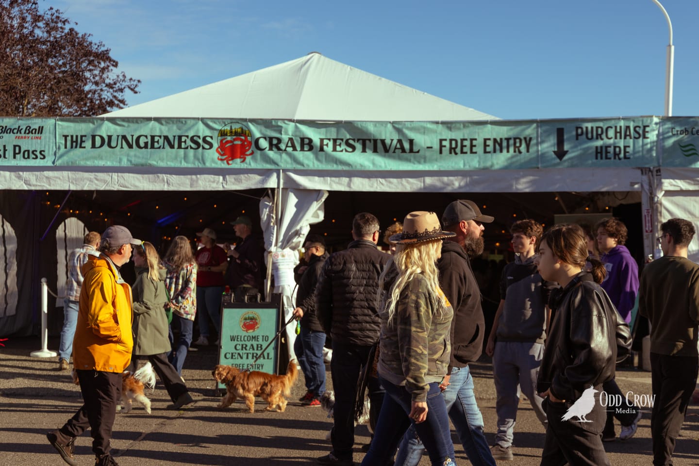 Festival-goers walking past the Dungeness Crab Festival free entry banner