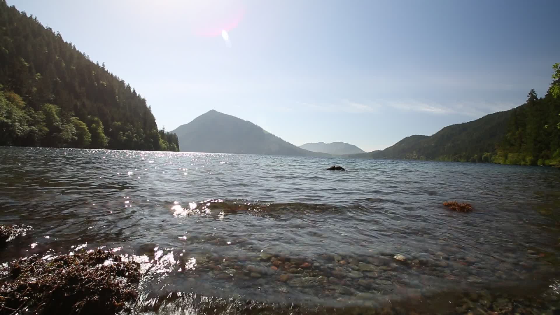 Video content by Odd Crow Media