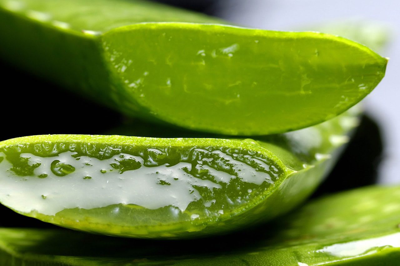 ALOE VERA, SECRETOS Y BENEFICIOS PARA LA SALUD