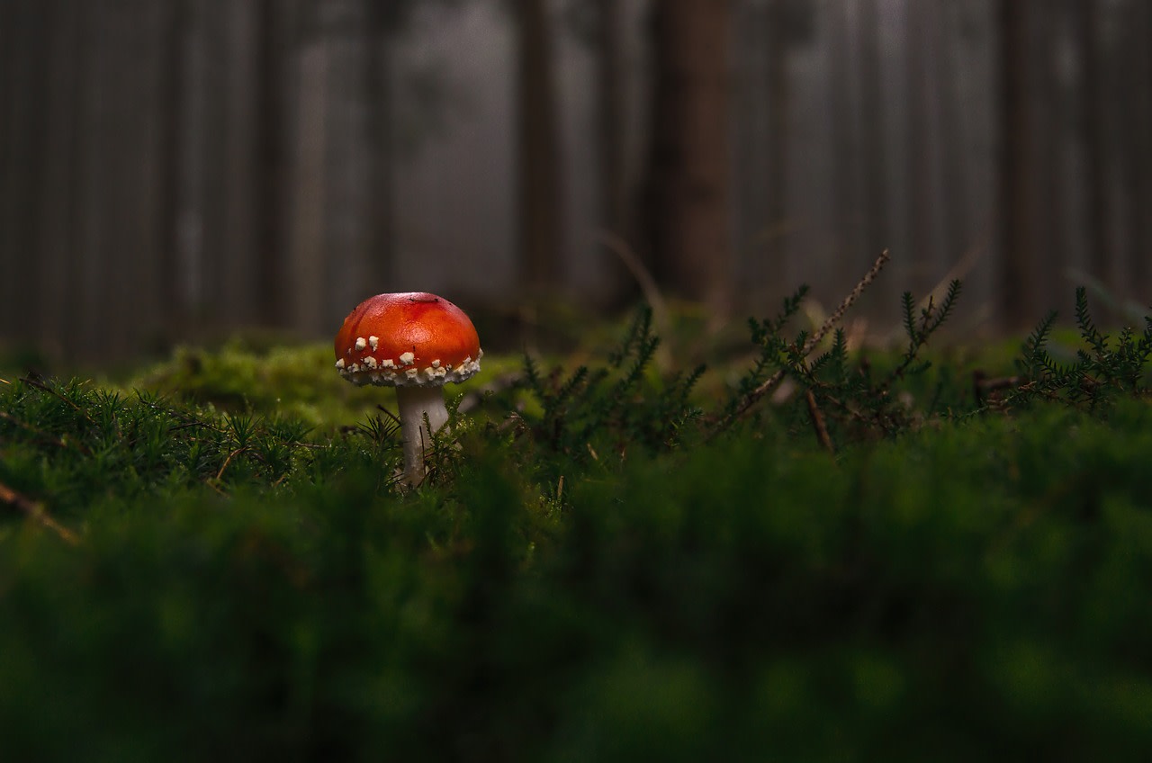 Imagen relacionada con Cómo Identificar y Romper un Vínculo Energético Tóxico con Alguien