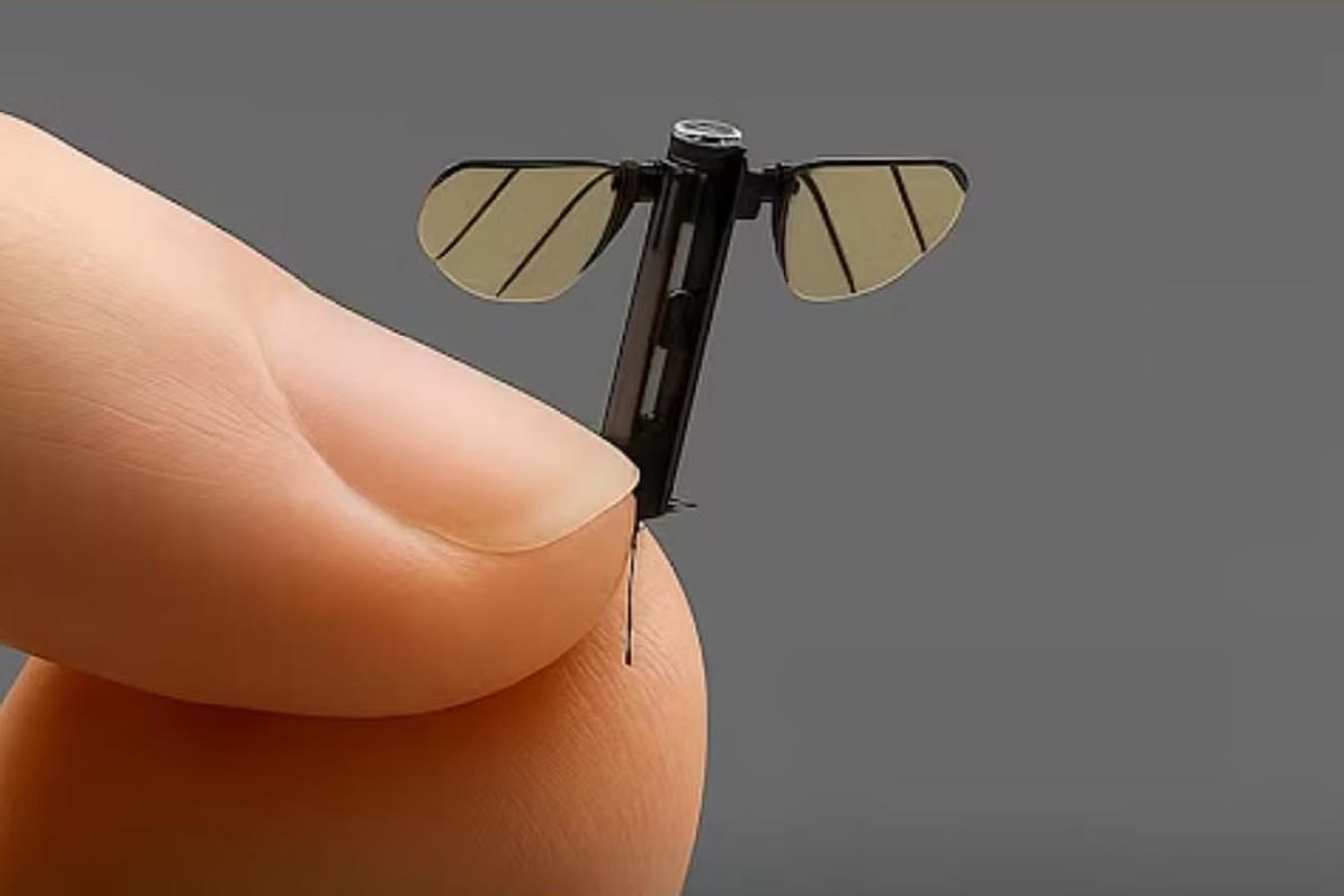 China creó un dron del tamaño de un mosquito