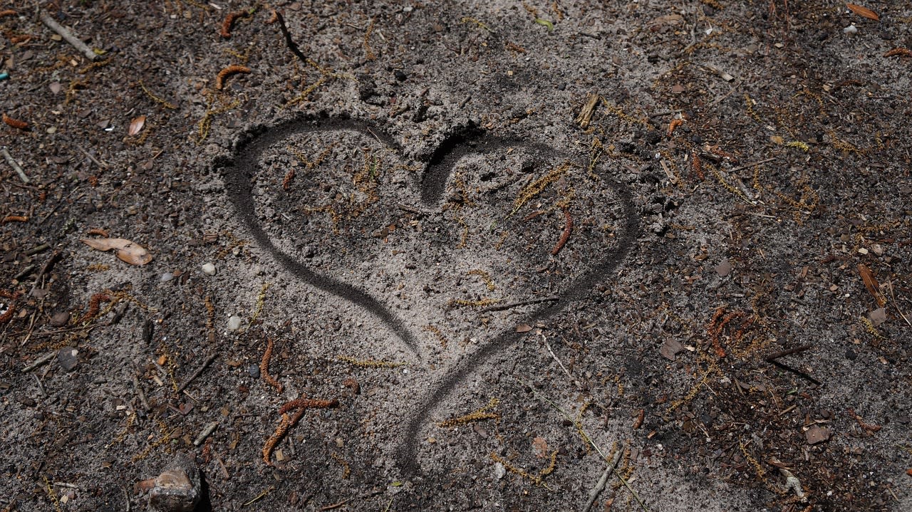 Imagen relacionada con 1111: Código para abrirse a nuevas oportunidades - Guía Agesta