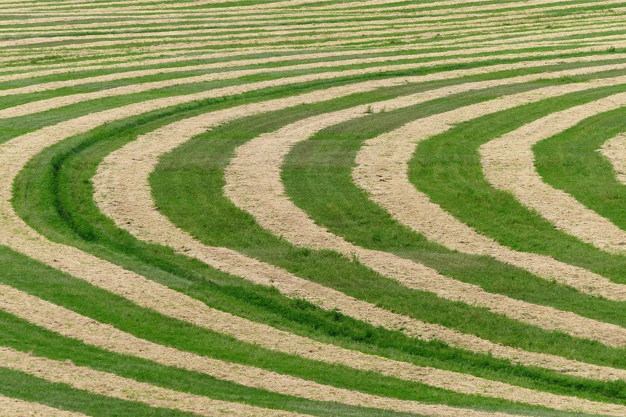 Imagen relacionada con La conexión entre los Crop Circles y los mensajes extraterrestres