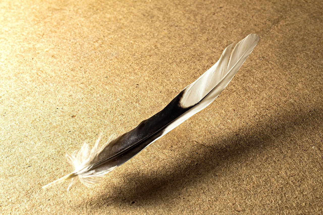 Imagen relacionada con El simbolismo espiritual de soñar con volar y su mensaje oculto