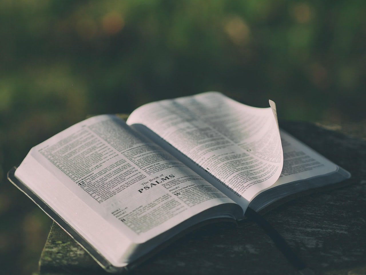 Imagen relacionada con Examinan la BIBLIA con IA y Aparece Algo INESPERADO que Deja SIN PALABRAS a TODOS