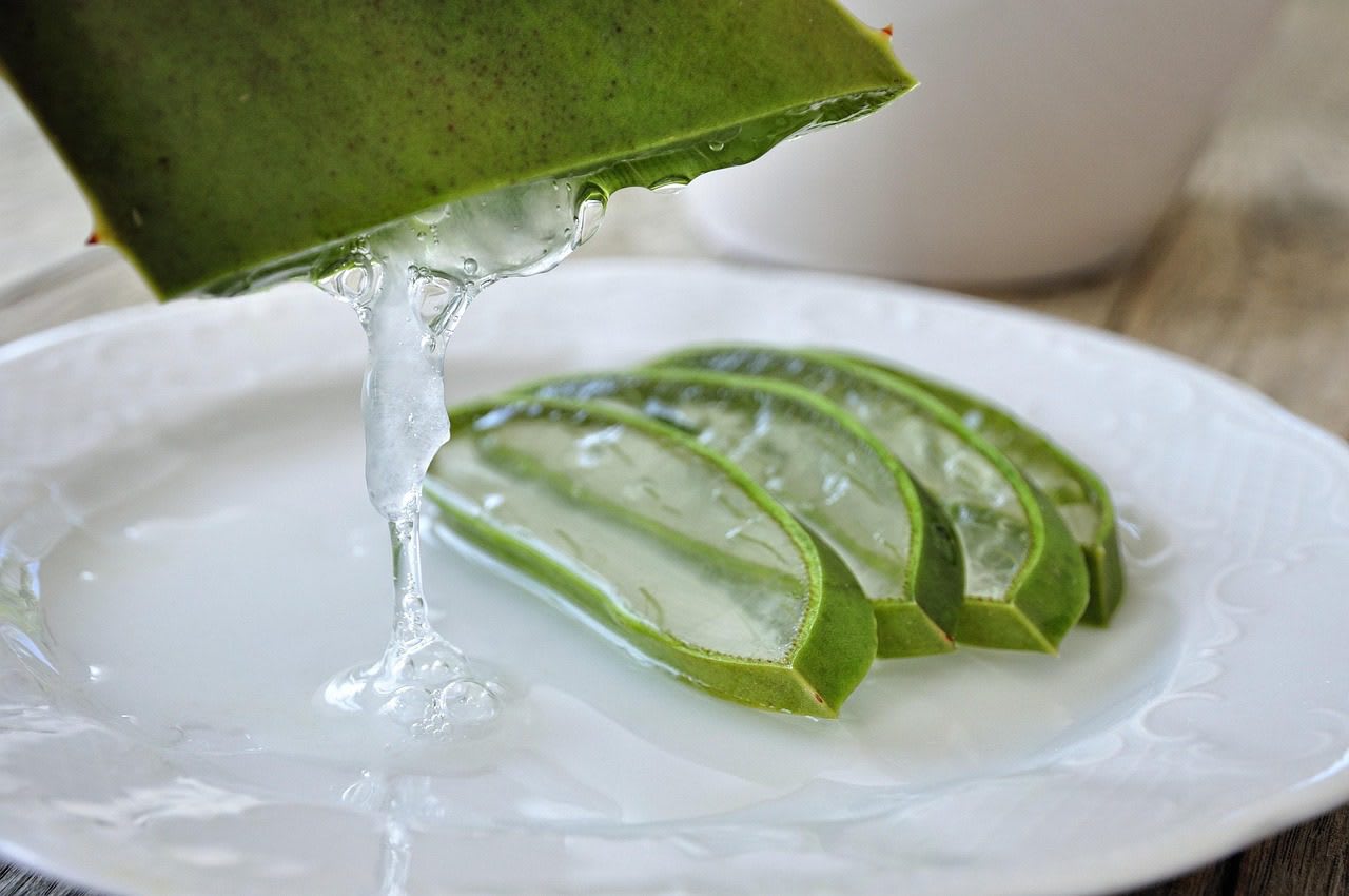 La planta que muchos consideran milagrosa y que podría estar en tu jardín 7 EL ALOE VERA, LA PLANTA MILAGROSA QUE CURA GRANOS Y RENUEVA TU PIEL