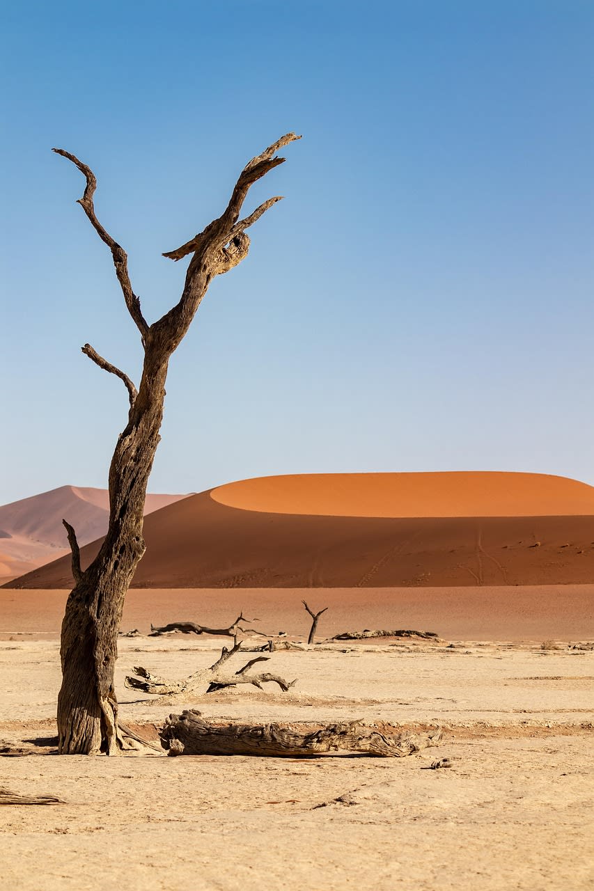 Imagen relacionada con Luces en Formación sobre el Desierto de Atacama… y el Gobierno Chileno Guarda Silencio