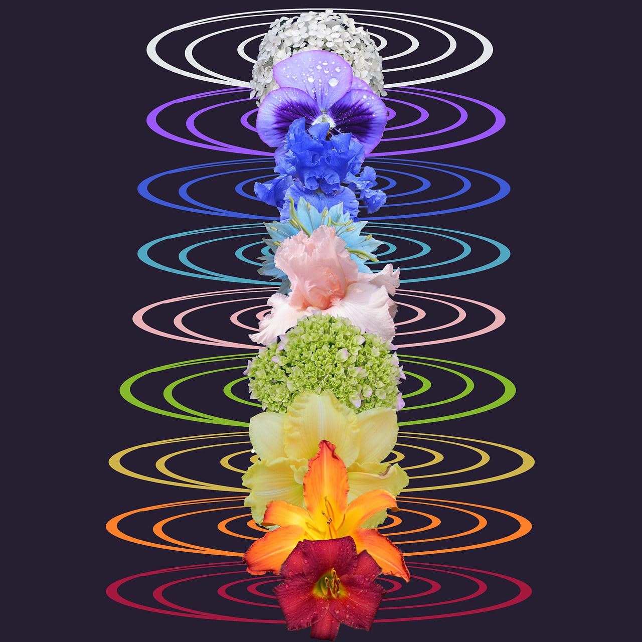 Chakra Raíz (Muladhara) y la Seguridad Financiera
