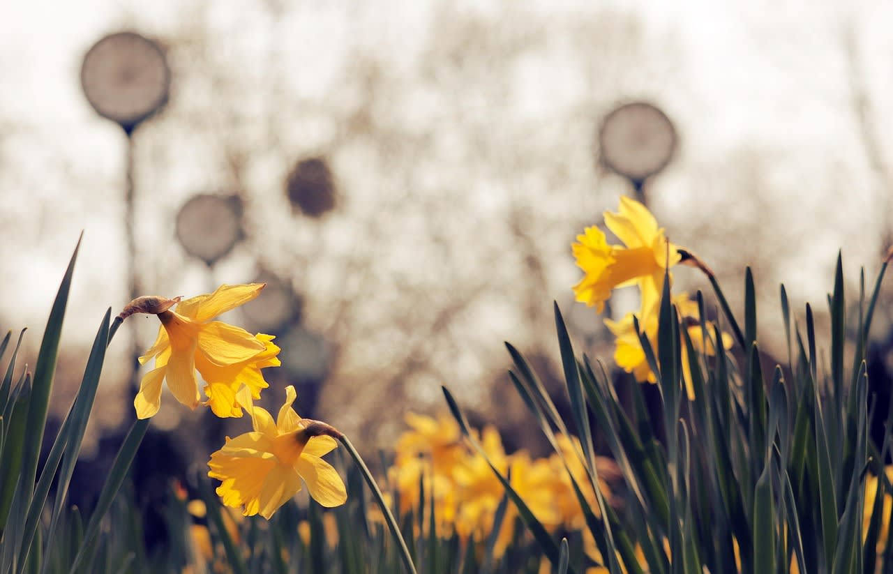 Imagen relacionada con Hora Espejo 10:01, Cuando el Universo Te Refleja un Mensaje