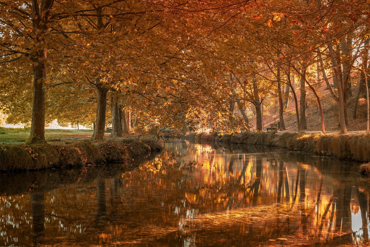 Imagen relacionada con Sueños extraños, mensajes ocultos: cómo interpretar lo que realmente tu subconsciente te dice