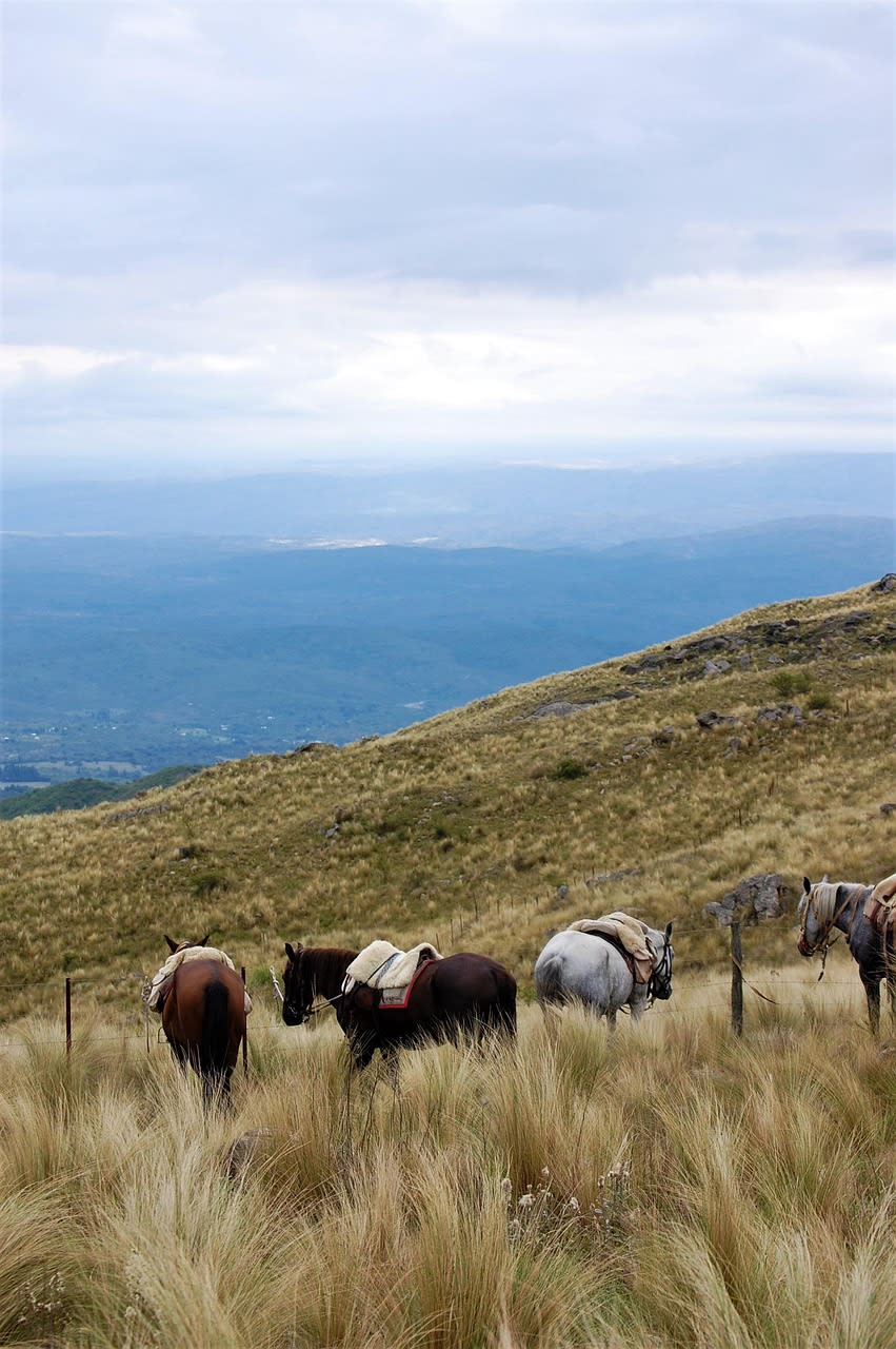 Imagen relacionada con CLIMA RÍO CUARTO: ¿Mensajes CÓSMICOS o la IRA de la MADRE TIERRA? ARGENTINA, CORDOBA