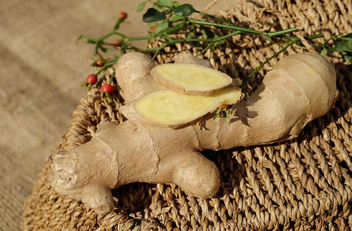 El jengibre actúa como un afrodisíaco natural, POTENCIADOR para hombres – imagen 3 Imagen relacionada con El jengibre actúa como un afrodisíaco natural, POTENCIADOR para hombres