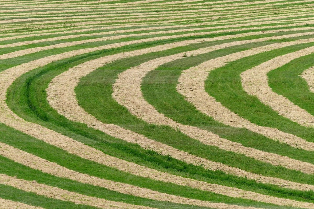 El misterio de la señal extraterrestre que nadie pudo descifrar 3 Imagen relacionada con La conexión entre los Crop Circles y los mensajes extraterrestres