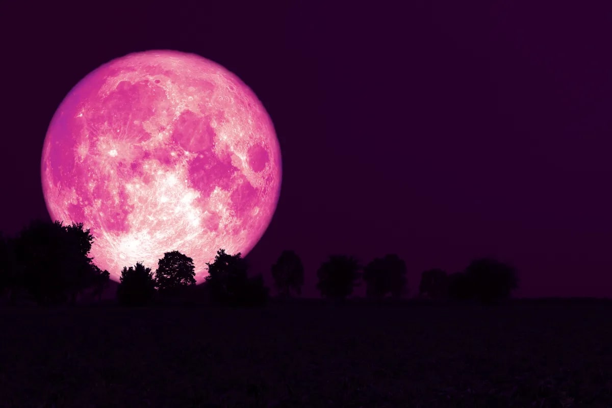 LUNA LLENA ROSADA 2022 LUNA LLENA ROSADA 2022