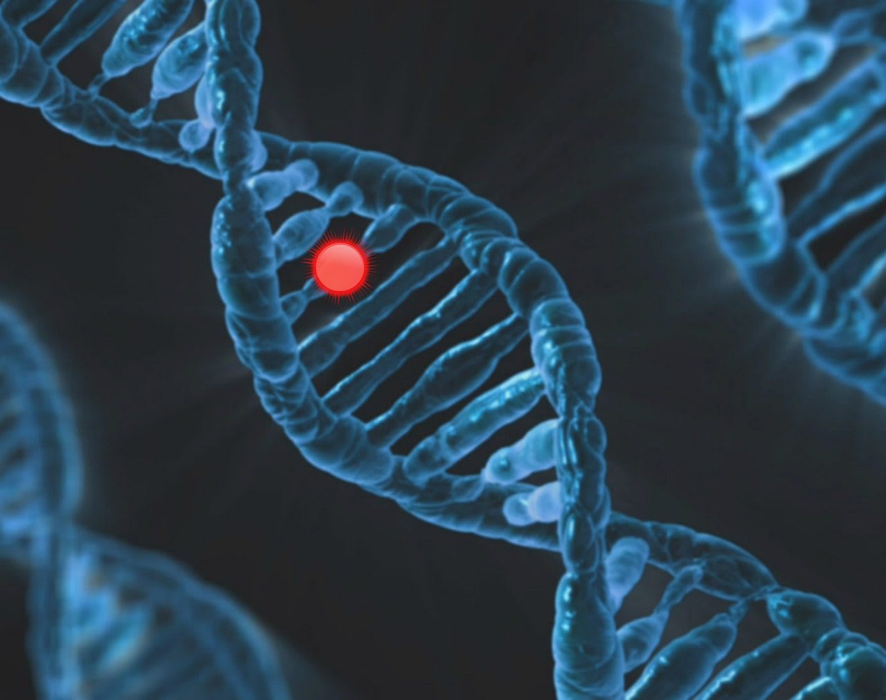 Imagen relacionada con Cómo activar tu ADN espiritual para sanar cuerpo, mente y alma, terminar el 2025 A PLENO