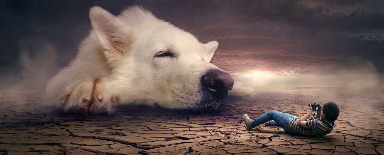Cómo recordar los sueños todas las noches y entender lo que quieren decir 1 Imagen relacionada con Cómo recordar los sueños todas las noches y entender lo que quieren decir