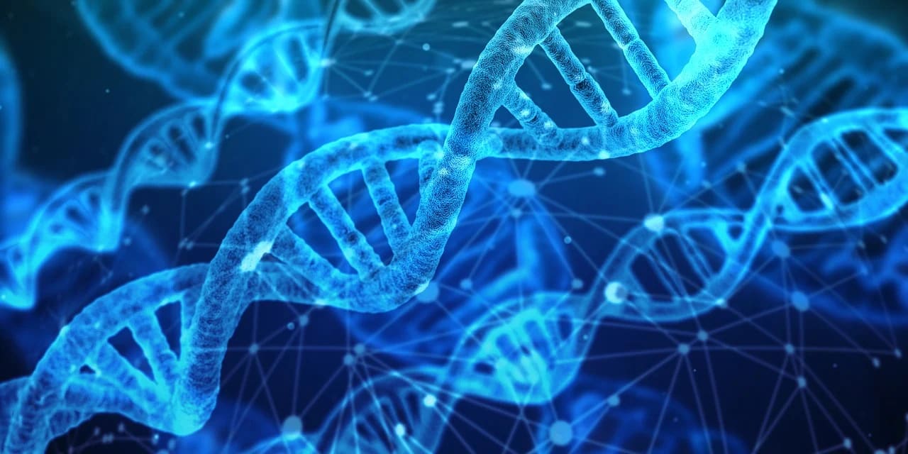 Biokinesis para cambiar tu vida, Descubrí su increíble poder Biokinesis para cambiar tu vida, Descubrí su increíble poder
