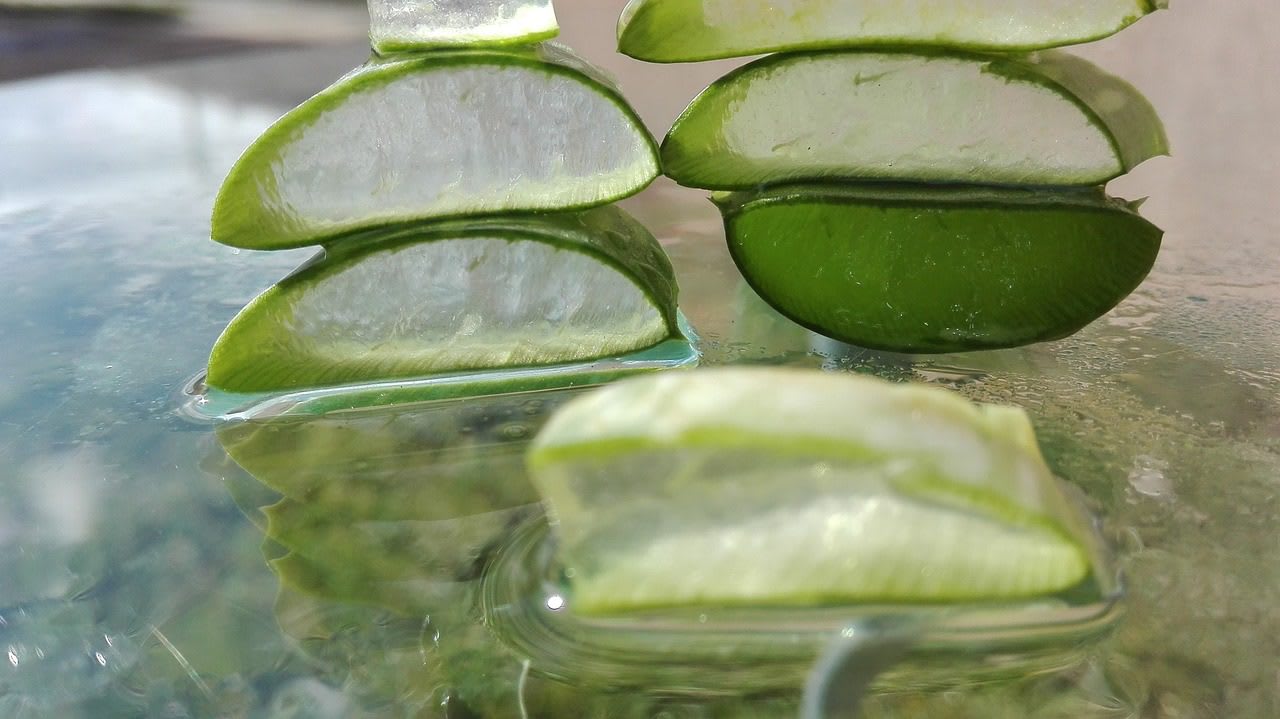 EL ALOE VERA, LA PLANTA MILAGROSA